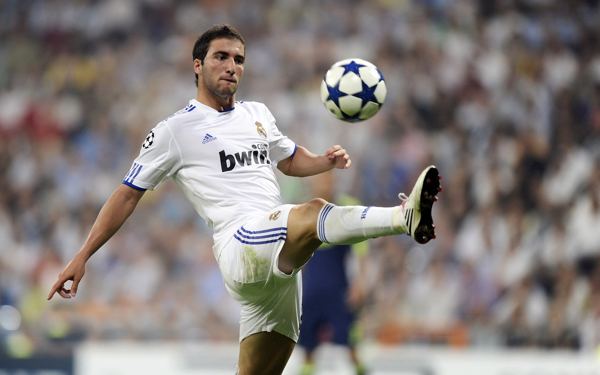 “马科斯·梅特罗的技巧与视野，成为阿根廷美洲狮队的关键人物”