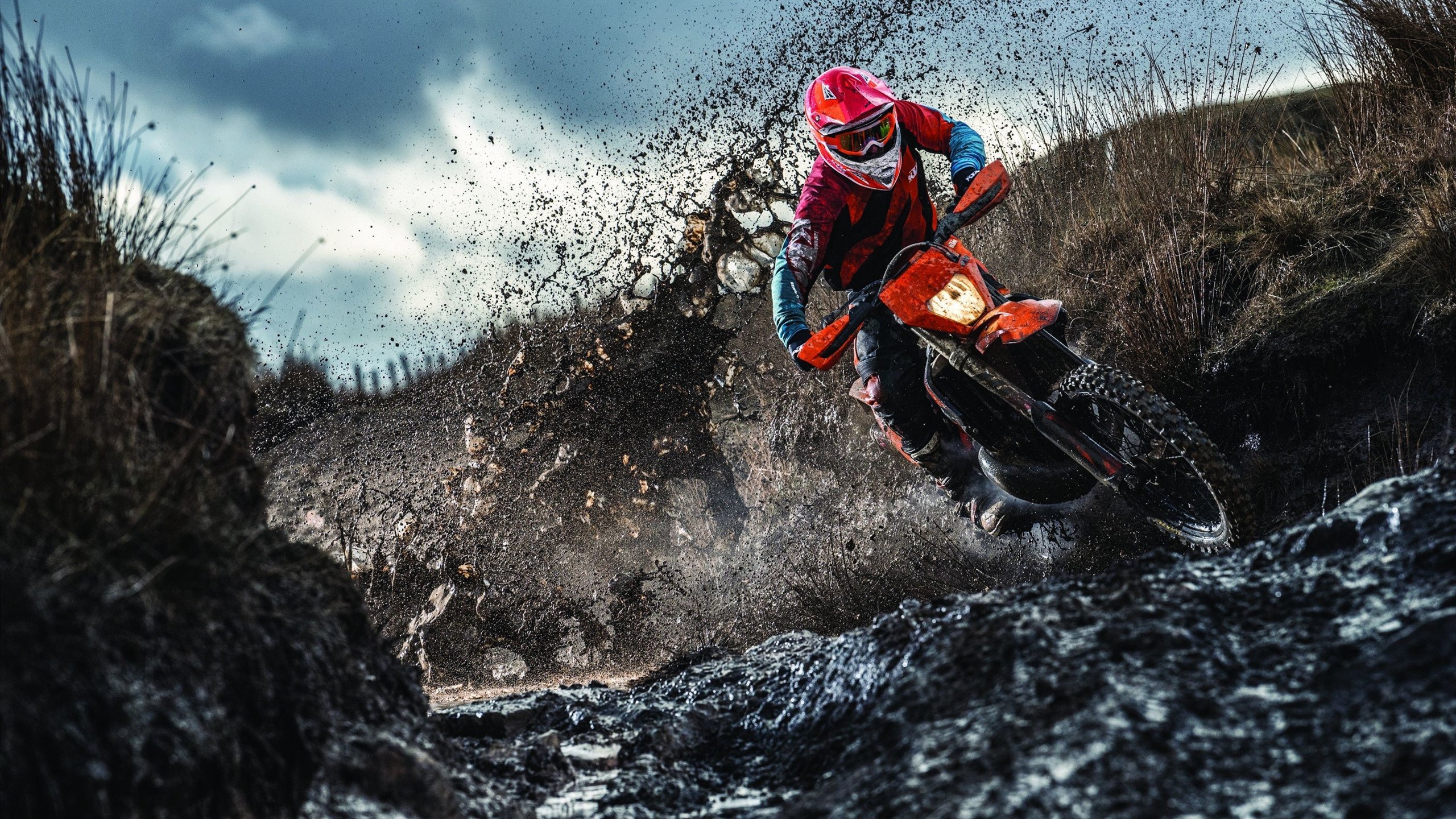 与世界高手争锋 李冰洁无畏出击