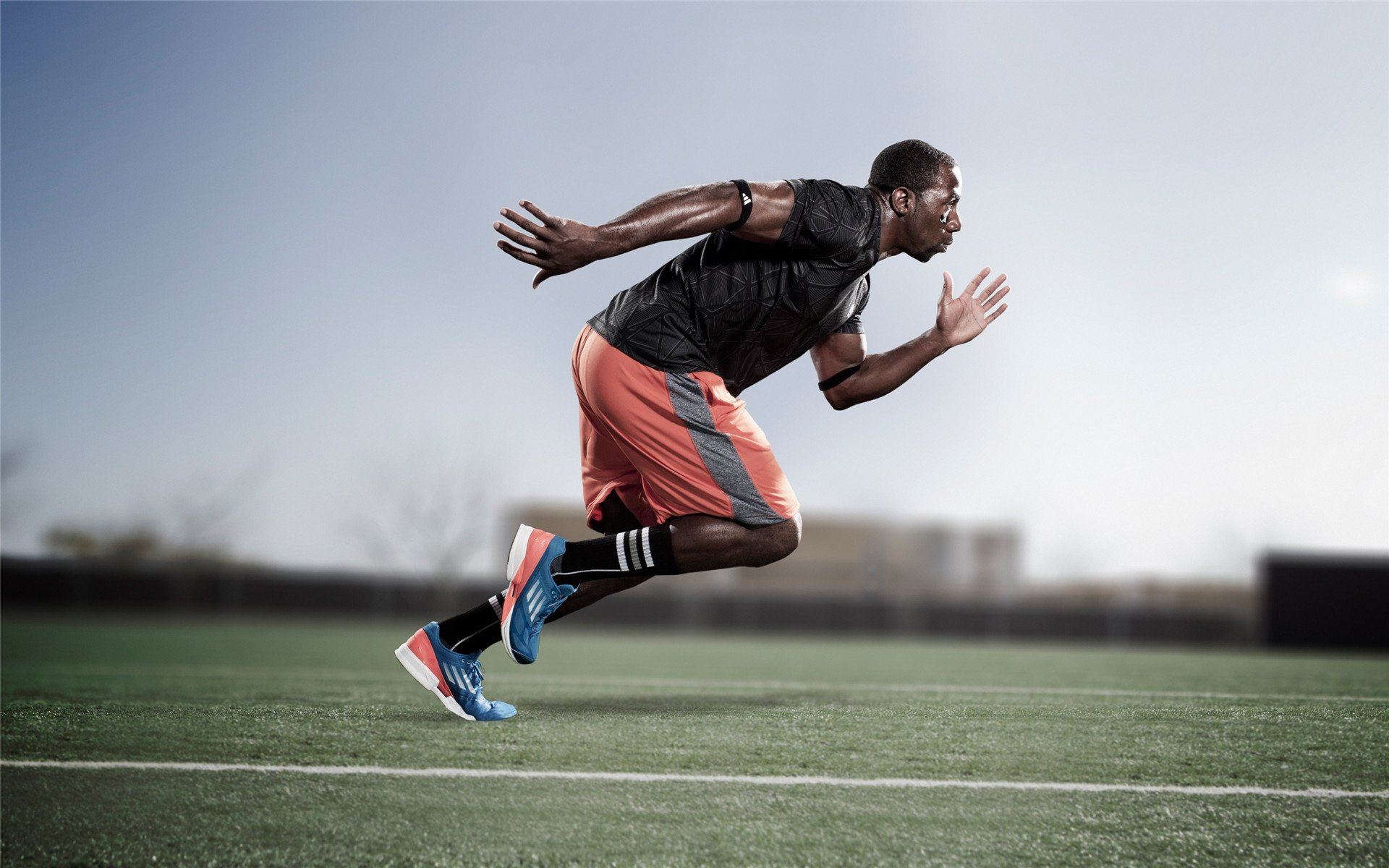 中国篮球联赛观众行为特征及市场营销策略，篮球观众席图片