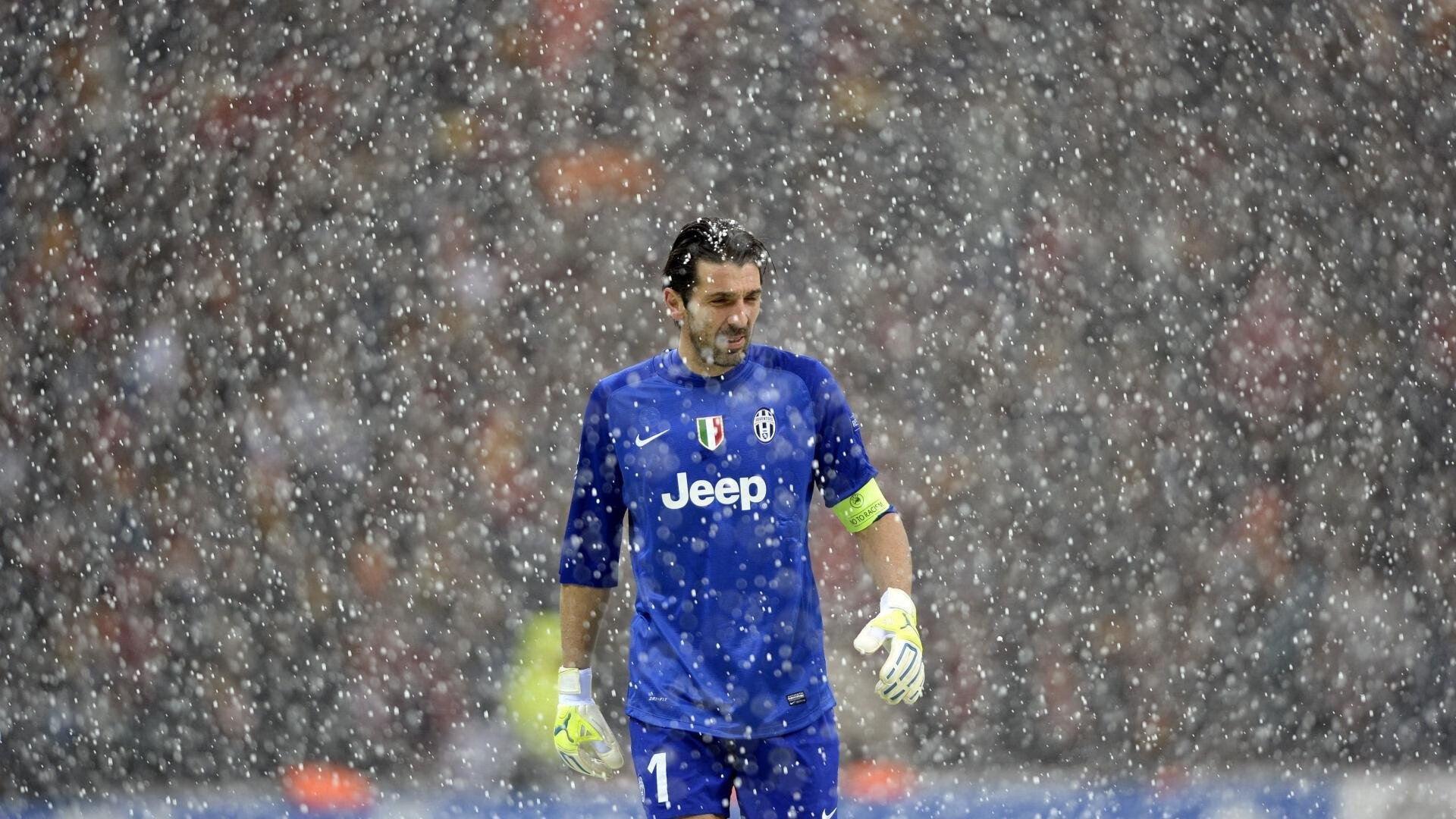 格林伍德的全能防守能力,助袋鼠队防线坚不可摧,格林伍德球员